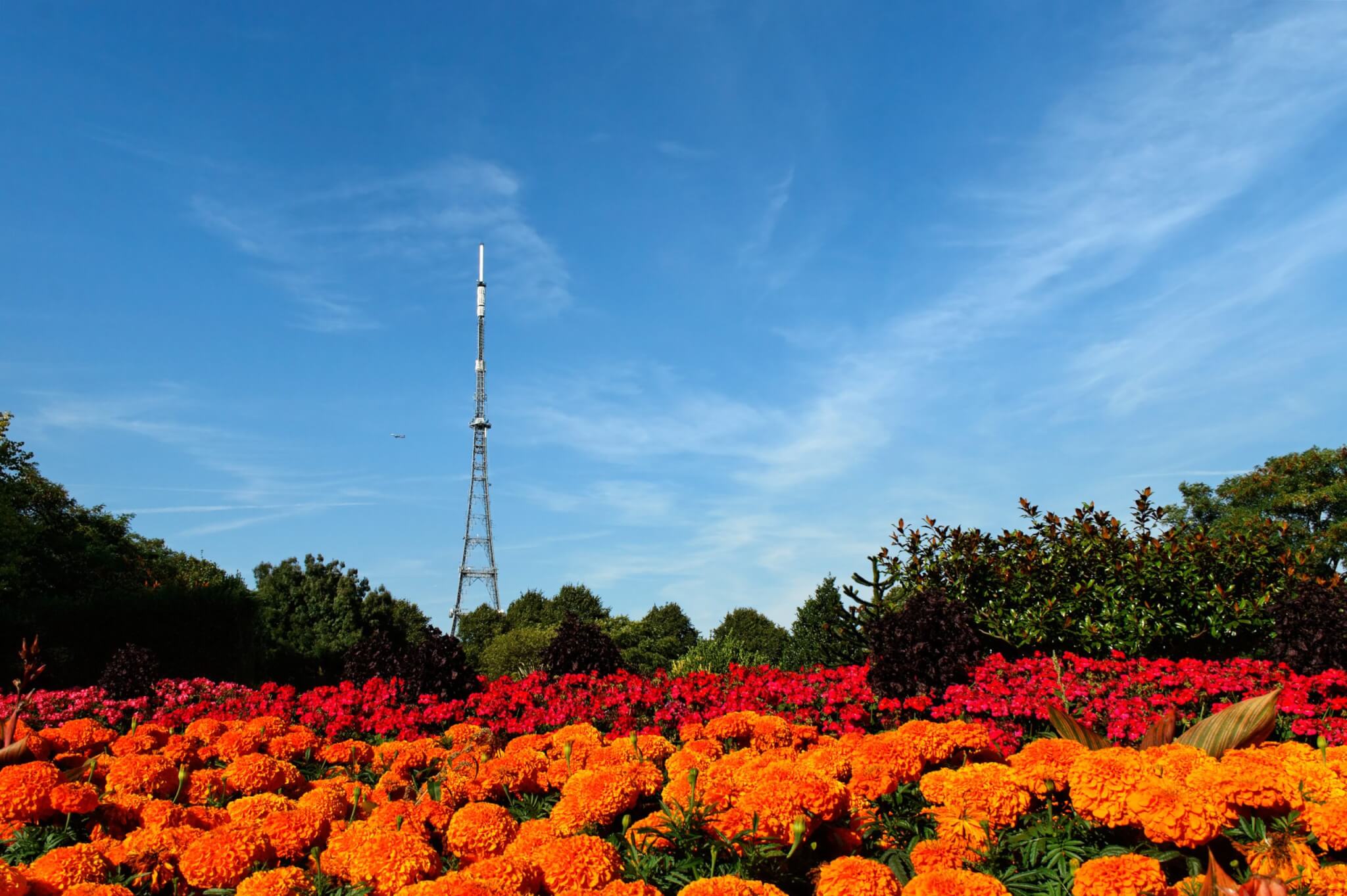 Crystal Palace Mast behind colourful flowerbeds. The mast used to be London's tallest structure - before the building of One Canada Square.